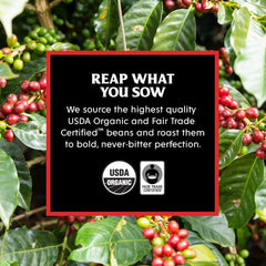 Dark Roast + Valhalla Java Bundle